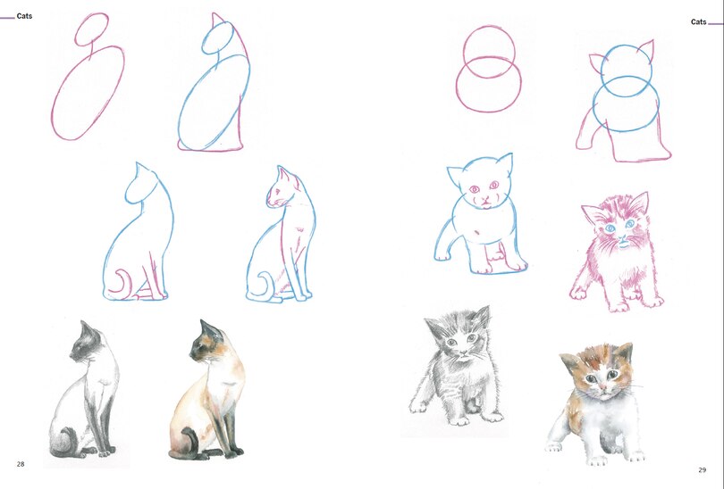 Sample content 5_How to Draw Animals in Simple Steps