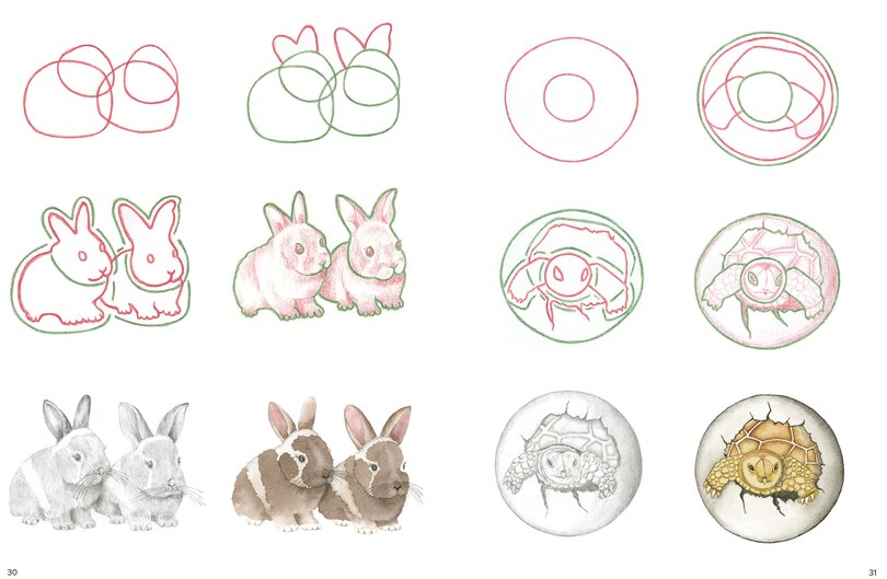 Aper&ccedil;u du contenu_How to Draw: Baby Animals