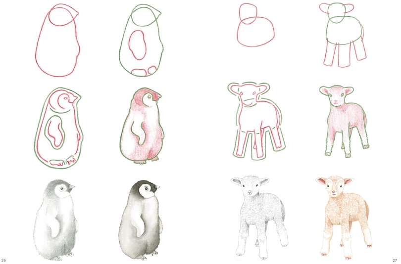 Aper&ccedil;u du contenu 2_How to Draw: Baby Animals