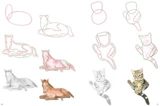 Aper&ccedil;u du contenu 3_How to Draw: Baby Animals