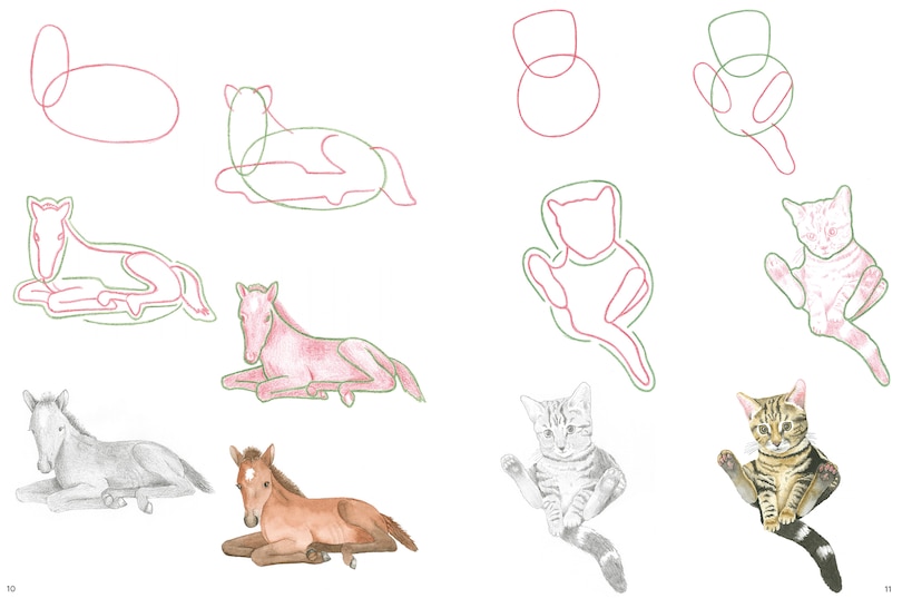 Aper&ccedil;u du contenu 3_How to Draw: Baby Animals