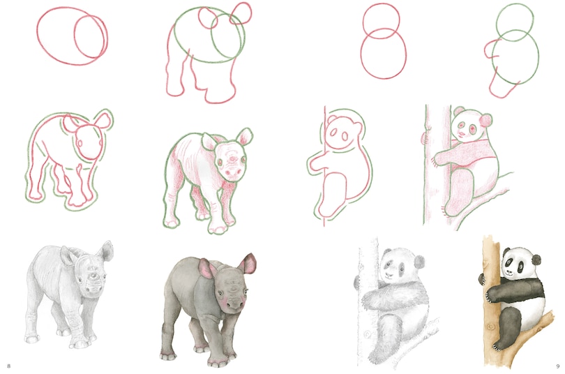 Aper&ccedil;u du contenu 4_How to Draw: Baby Animals