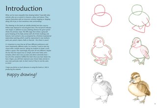 Aper&ccedil;u du contenu 5_How to Draw: Baby Animals