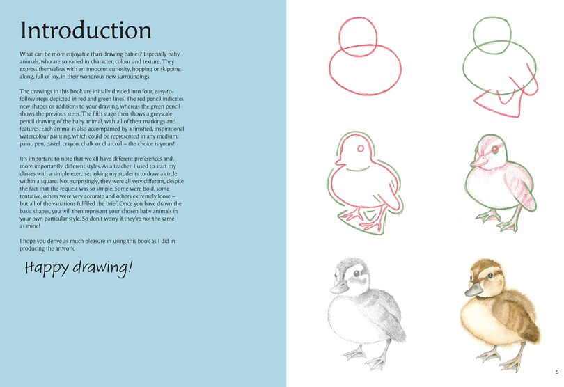 Aper&ccedil;u du contenu 5_How to Draw: Baby Animals