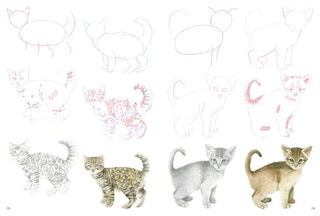 Sample content 3_How To Draw Kittens In Simple Steps