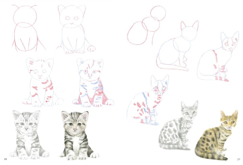 Sample content 4_How To Draw Kittens In Simple Steps