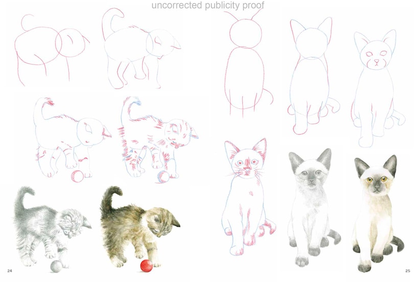 Sample content 5_How To Draw Kittens In Simple Steps