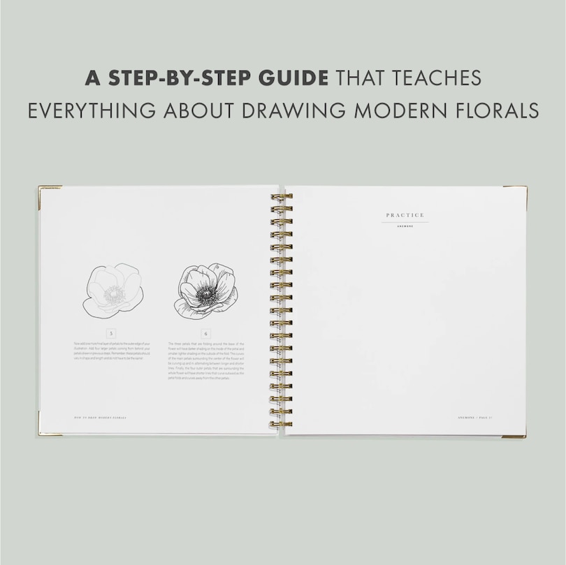 Sample content_How To Draw Modern Florals