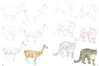 Sample content 3_How To Draw Mountain Animals In Simple Steps