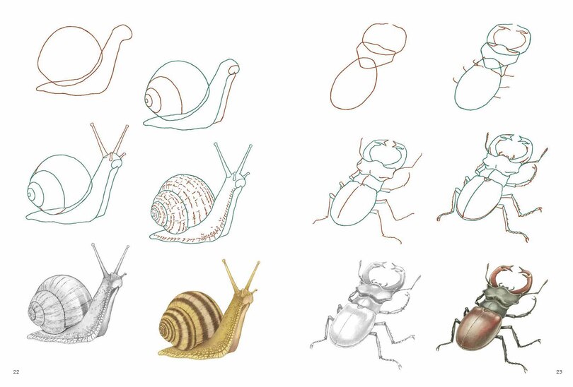 Sample content_How to Draw: Nature - In simple steps