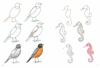 Sample content 2_How to Draw: Nature - In simple steps