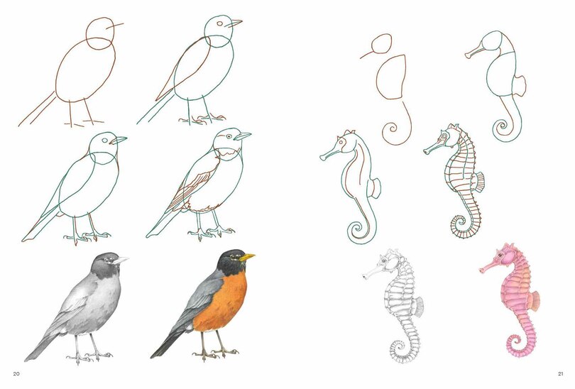 Sample content 2_How to Draw: Nature - In simple steps