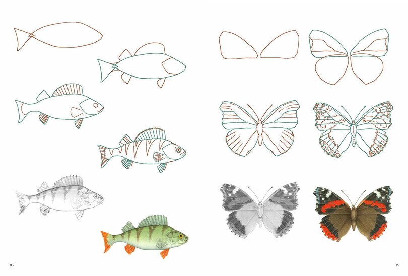 Sample content 3_How to Draw: Nature - In simple steps