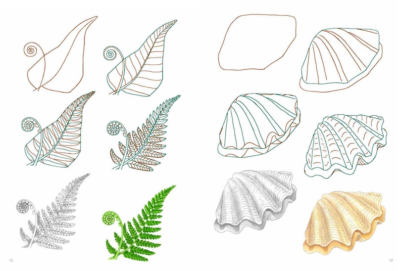 Sample content 4_How to Draw: Nature - In simple steps