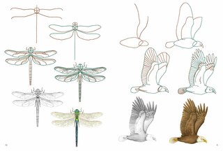 Sample content 5_How to Draw: Nature - In simple steps