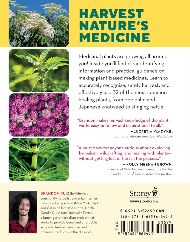 Back cover_How to Forage for Medicinal Plants without Dying