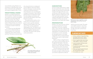 Sample content 2_How to Forage for Medicinal Plants without Dying