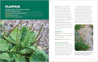 Sample content 3_How to Forage for Medicinal Plants without Dying
