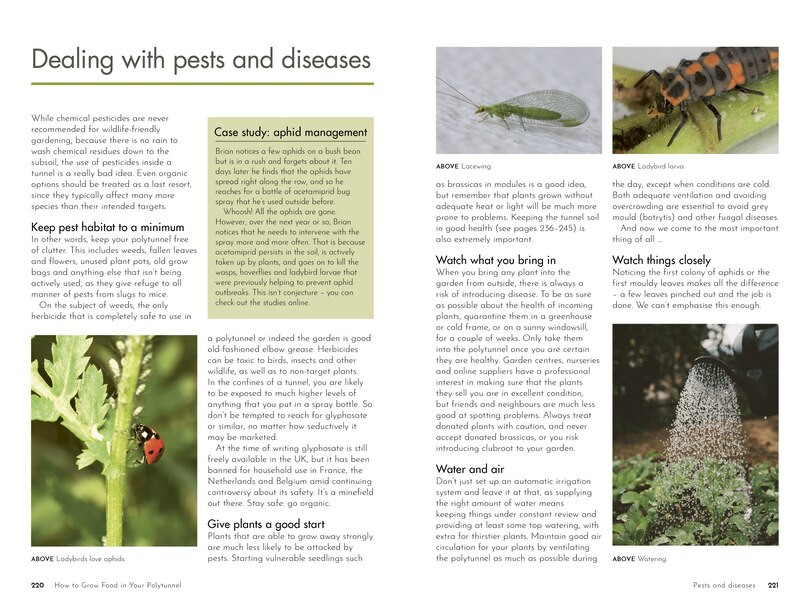 Sample content_How to Grow Food in Your Polytunnel