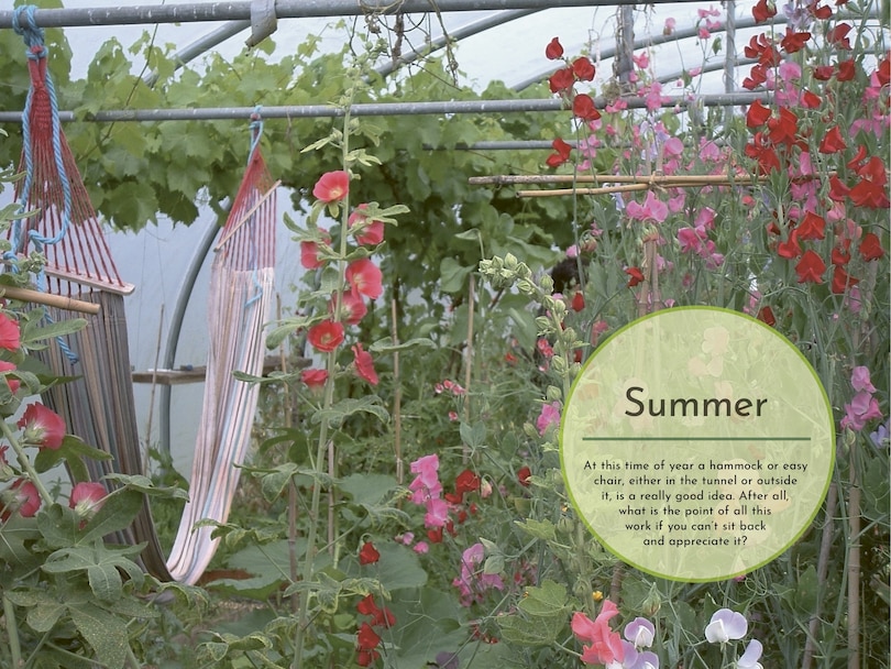 Sample content 3_How to Grow Food in Your Polytunnel