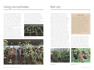 Sample content 4_How to Grow Food in Your Polytunnel
