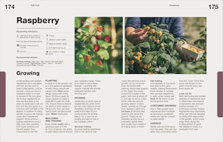 Sample content 2_How to Grow Food