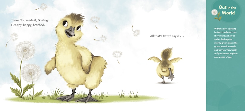 Sample content_How to Hatch