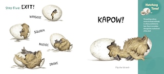 Sample content 2_How to Hatch