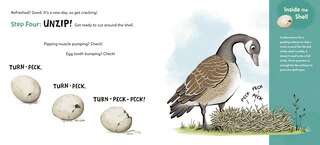 Sample content 3_How to Hatch