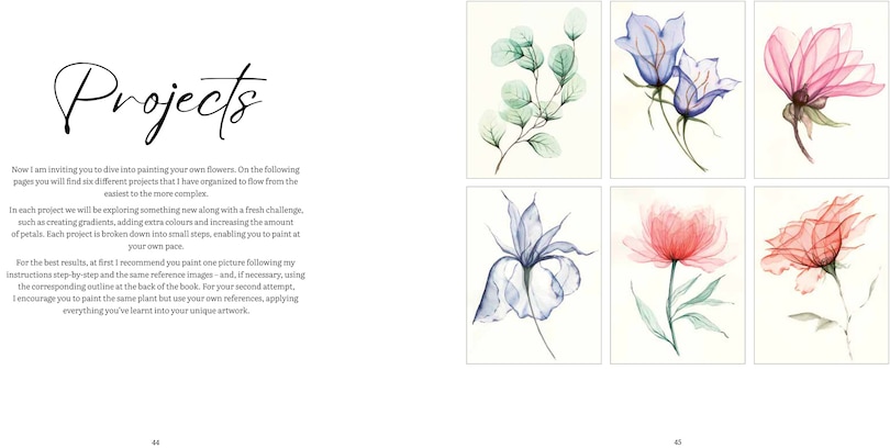 Sample content 2_How to Paint Transparent Watercolour Flowers