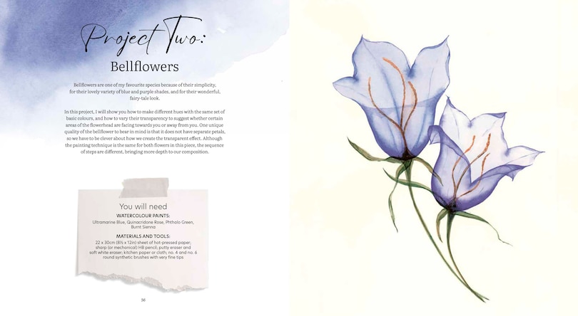 Sample content 4_How to Paint Transparent Watercolour Flowers