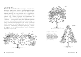 Sample content_How to Prune Trees & Shrubs