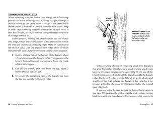 Sample content 2_How to Prune Trees & Shrubs