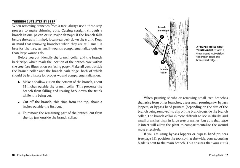 Sample content 2_How to Prune Trees & Shrubs