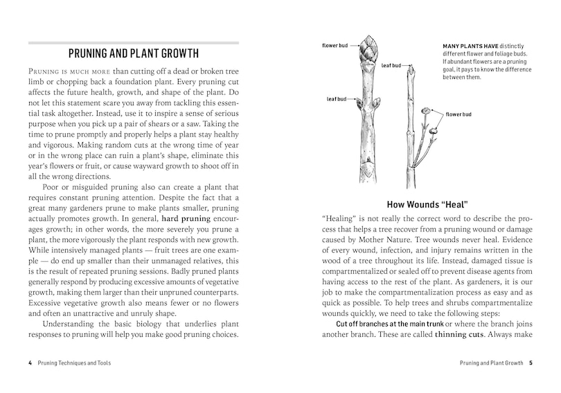 Sample content 3_How to Prune Trees & Shrubs