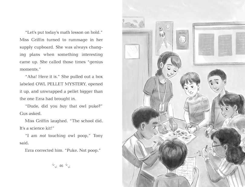 Sample content_How to Save an Owl