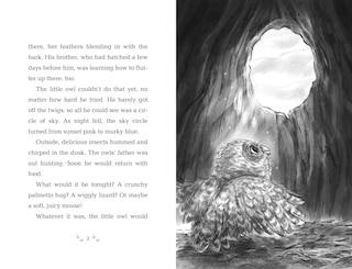 Sample content 3_How to Save an Owl