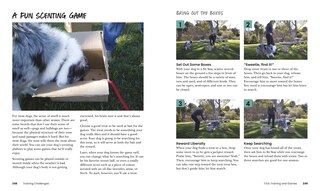 Sample content_How To Train Your Dog