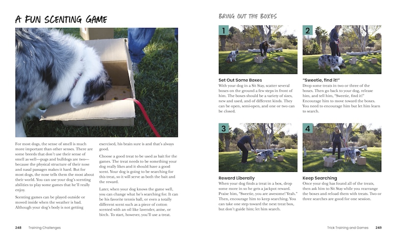 Sample content_How To Train Your Dog