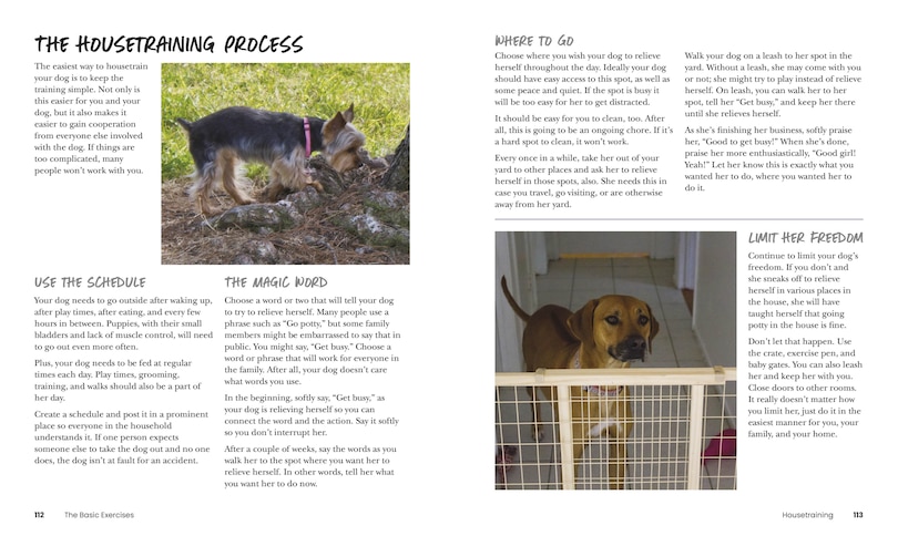 Sample content 3_How To Train Your Dog