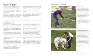 Sample content 4_How To Train Your Dog