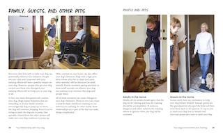 Sample content 5_How To Train Your Dog