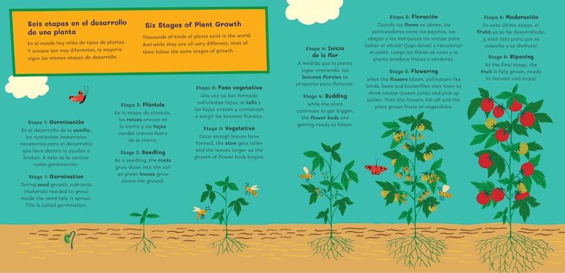 Aper&ccedil;u du contenu_Huerto de azotea / Rooftop Garden