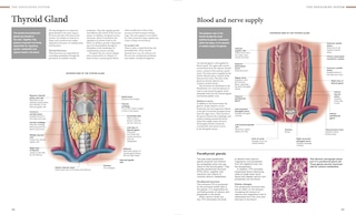 Aper&ccedil;u du contenu_Human Anatomy