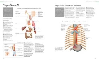 Aper&ccedil;u du contenu 2_Human Anatomy