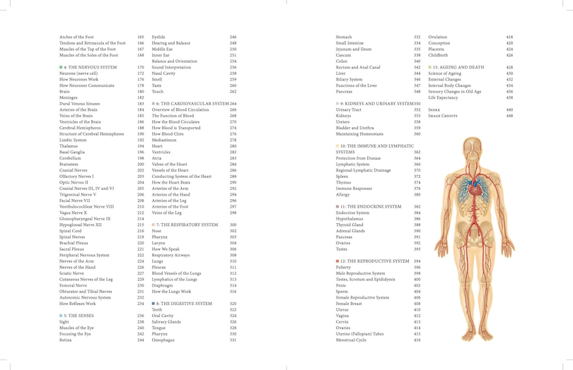 Aper&ccedil;u du contenu 3_Human Anatomy