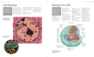 Aper&ccedil;u du contenu 4_Human Anatomy