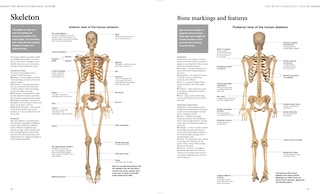 Aper&ccedil;u du contenu 5_Human Anatomy