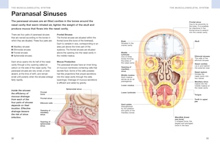 Aper&ccedil;u du contenu_Human Anatomy