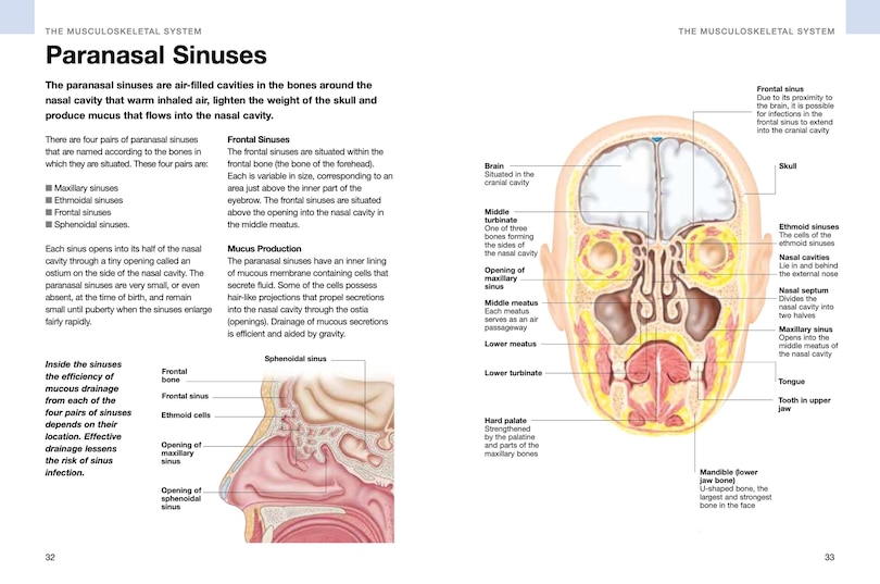 Aper&ccedil;u du contenu_Human Anatomy